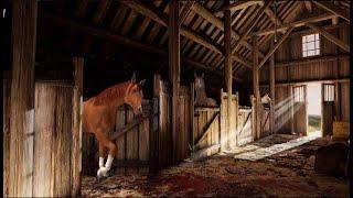 Cozy Relaxation. Horse Stable Ambience.