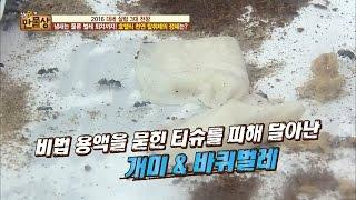 호텔식 천연 탈취제, 냄새는 물론! 벌레까지 쫓는다! [만물상 171회] 20161218