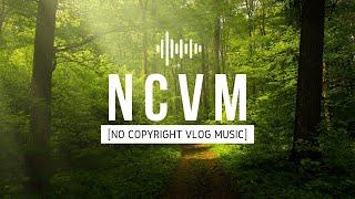 [No Copyright Vlog Music] 2021 | Beautiful Ambient Track - Nature