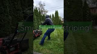 Small yard[STRIPING]️‍ #shorts #satisfying #lawncare #small #yard