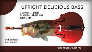 Upright Delicious Bass Kit! [Demo]