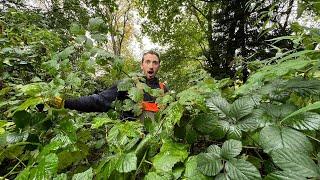 This OVERGROWN Yard Never Ends! Free Garden Makeover for a Single Mother