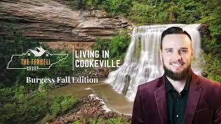 Discover Burgess Falls & #cookevilletn Hidden Gems, What Makes This Town Special! #movingtotennessee