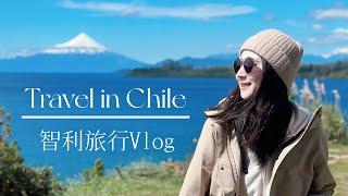 Travel Vlog 29 | 智利 | Chile Travel Vlog | 旅行 Vlog | 智利旅行 | 圣地亚哥攻略 | 南美旅游｜Travel in Chile