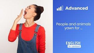 Apprendre l'anglais : to yawn