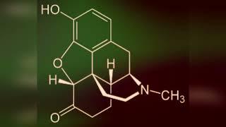 Hydromorphone (Dilaudid)  Narcotic Trance Music  Revolutionary 4D Technology (Binaural Beats)