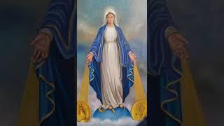 Immaculate Conception #catholic