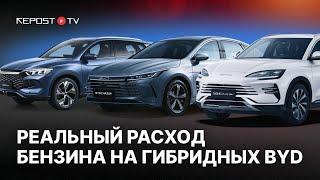 Самый экономичный BYD | Насколько экономичны гибридные модели BYD в Узбекистане | Song | Chazor