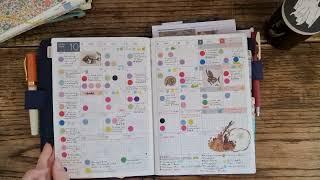 Hobonichi cousin flip through | main journal | How I use my Hobonichi cousin