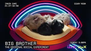 Brand New Big Brother UK returns to ITV2 | Sunday 6th October