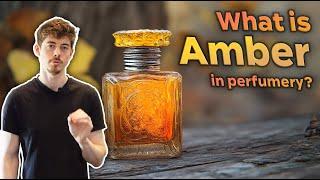 The 4 types of AMBER in perfumery