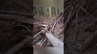 Landslides of Hurricane Helene North Carolina Yancey County Toe River Valley