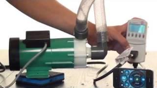 Iwaki and Panworld external aquarium pump demo. Quality & efficiency versus price.