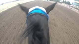 Quarter Horse training races GoPro