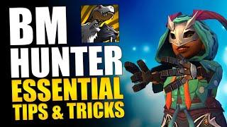 BM HUNTER 10 ESSENTIAL TIPS & TRICKS IN 2 MINUTES