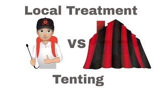 Termite Local Treatment vs Fumigation: Choosing the Right Termite Treatment for Your Home