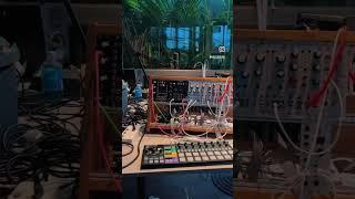  #modularsynth