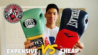 EXPENSIVE Boxing Gloves VS CHEAP Boxing Gloves- DO YOU GET WHAT YOU PAY FOR?