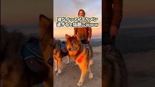 イッヌの動画見てニヤけたら負けwww #犬 #犬のいる暮らし #いぬ #ゴールデンレトリバー #かわいい #癒し #2ch動物スレ