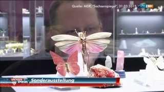 "MDR Sachsenspiegel" 31.03.2015 - Fliegende Juwelen 2