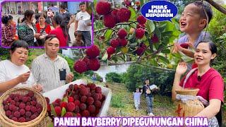 PANEN BAYBERRY DIPEGUNUNGAN CHINA, BANYAK YANG NITIP JADI KITA PANEN BANYAK  11 BOX