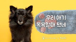 뽀송뽀송한 우리아이 만들기 프로젝트 [고리의하루 곰발장갑] with wadiz