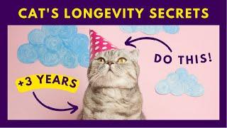 11 Tips to Help Your Cat Live Longer ️