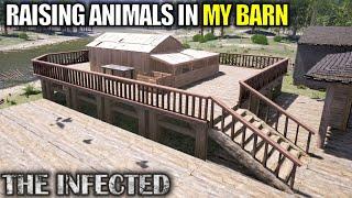 Catching and Raising Animals in The Barn | The Infected Gameplay | Part 23