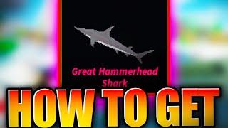 Where To Find Great Hammerhead Shark In Fisch | Great Hammerhead Shark Location - Roblox