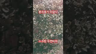 혼자보기 아깝다 #웃낄