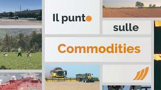 Il punto sulle commodities 11 novembre 2024