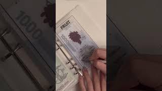 비비의 #현금생활 #현금asmr