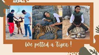 We petted a Tiger!  | Ummu al Quwain zoo | Fun With Fiza