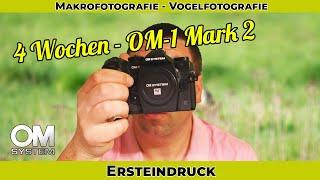 OM System - 4 Wochen OM-1 Mark II - Ersteindruck - Makrofotografie - Vogelfotografie - Kein Review