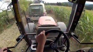 [HD] GoPro Hero 3 @ Case 150 CVX mit Fliegl ASW 271 beim Maisfahren