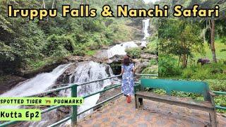 Spotted TIGER PUGMARK AT NANACHI SAFARI|Iruppu Falls Coorg|Detailed Expenses|Kutta Ep2