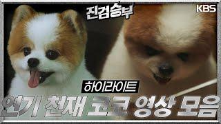[하이라이트] 심쿵주의 연기 천재 코코 영상 모음 [진검승부] | KBS 방송