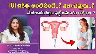 IUI Treatment: Procedure & Success Rates in Telugu || Dr C Sravanthi Reddy Fertility Specialist