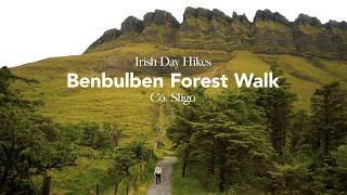 Benbulben Forest Walk  Irish Day Hikes