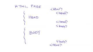 HTML Basics