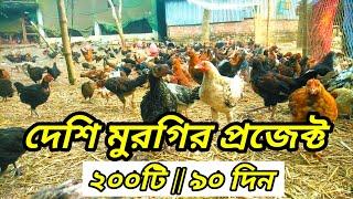 দেশি মুরগির প্রজেক্ট। চুলচেরা বিশ্লেষণ। Deshi Murgi Farm Project। Native Chicken। Desi hen farm