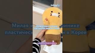 Милая игрушка и менеджер Докфайндеркорея всегда поддержат вас во время всех медицинских визитов.