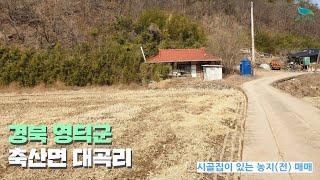 [신바람 오늘의 매물 - 인터넷 주소창에 시골집.net 입력해주세요 ]경북 영덕군 축산면 시골집이 있는 농지(전) 매매- 시골집매매, 농가주택매매, 전원주택부지 매매