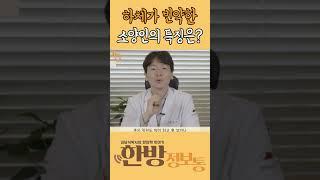 소양인의 특징 #소양인 #사상체질 #사상의학 #체질