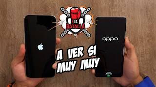 iPhone 16 Pro Max vs OPPO Find X8 Pro | La Batalla