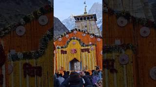 kedarnath dham,Mahadev, divya tyagi #kedarnath #kedarnathtemple #hindutemple #kedarnathdham