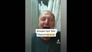 Про 3 поросят! Анекдоты от Белова! ТИК ТОК! #SHORTS