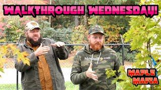 Funny Nursery Tour! Ginkgo trees! Japanese Maples! Conifers! MrMaple Walkthrough Wednesday.