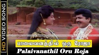 Palaivanathil Oru Roja Song | Kattabomman Movie | Sarath Kumar, Vineetha Love Songs | Deva Song | HD