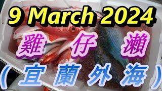 #大目鰱釣法中魚過程全紀錄#釣況分享